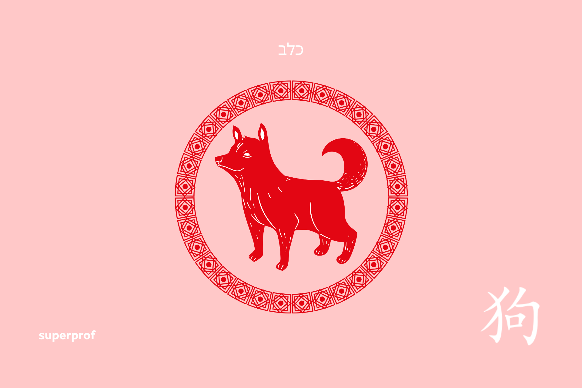 גרפיקה של כלב