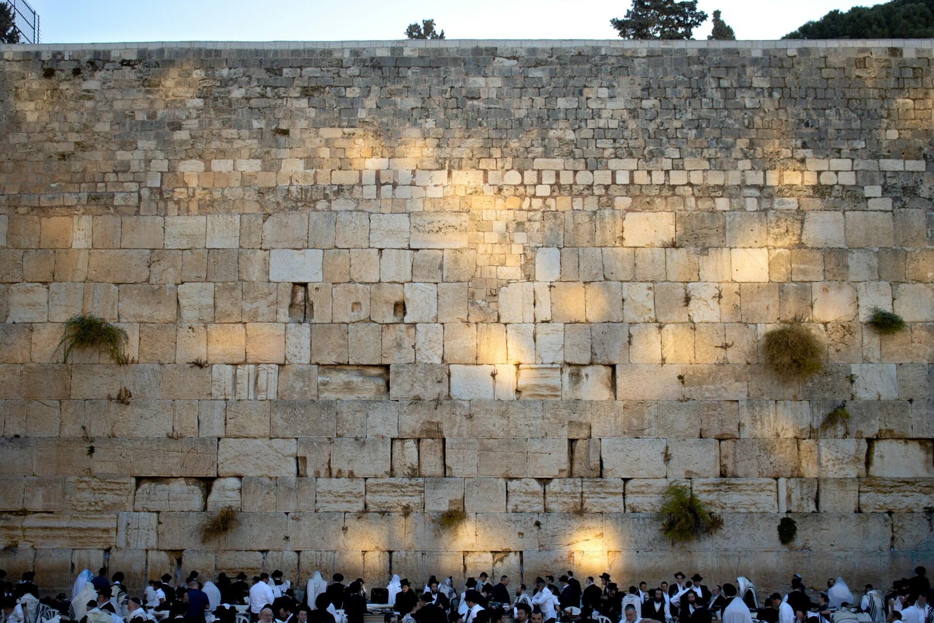 אנשים מתפללים בכותל המערבי, חומת אבן היסטורית עם כתמי אור שמש וצמחייה דלילה הגדלה בסדקים