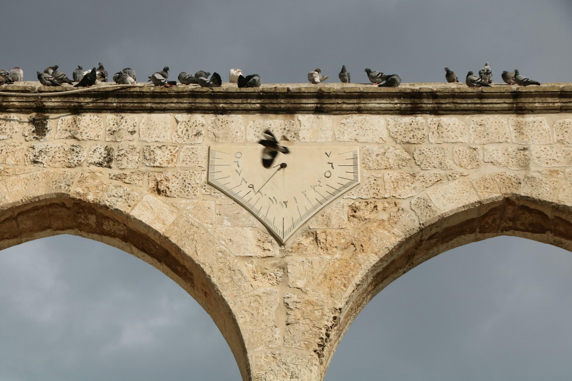 קשת אבן עם שעון שמש במרכז, יונים יושבות על גבי, ויונה אחת במעופה על רקע שמיים אפורים