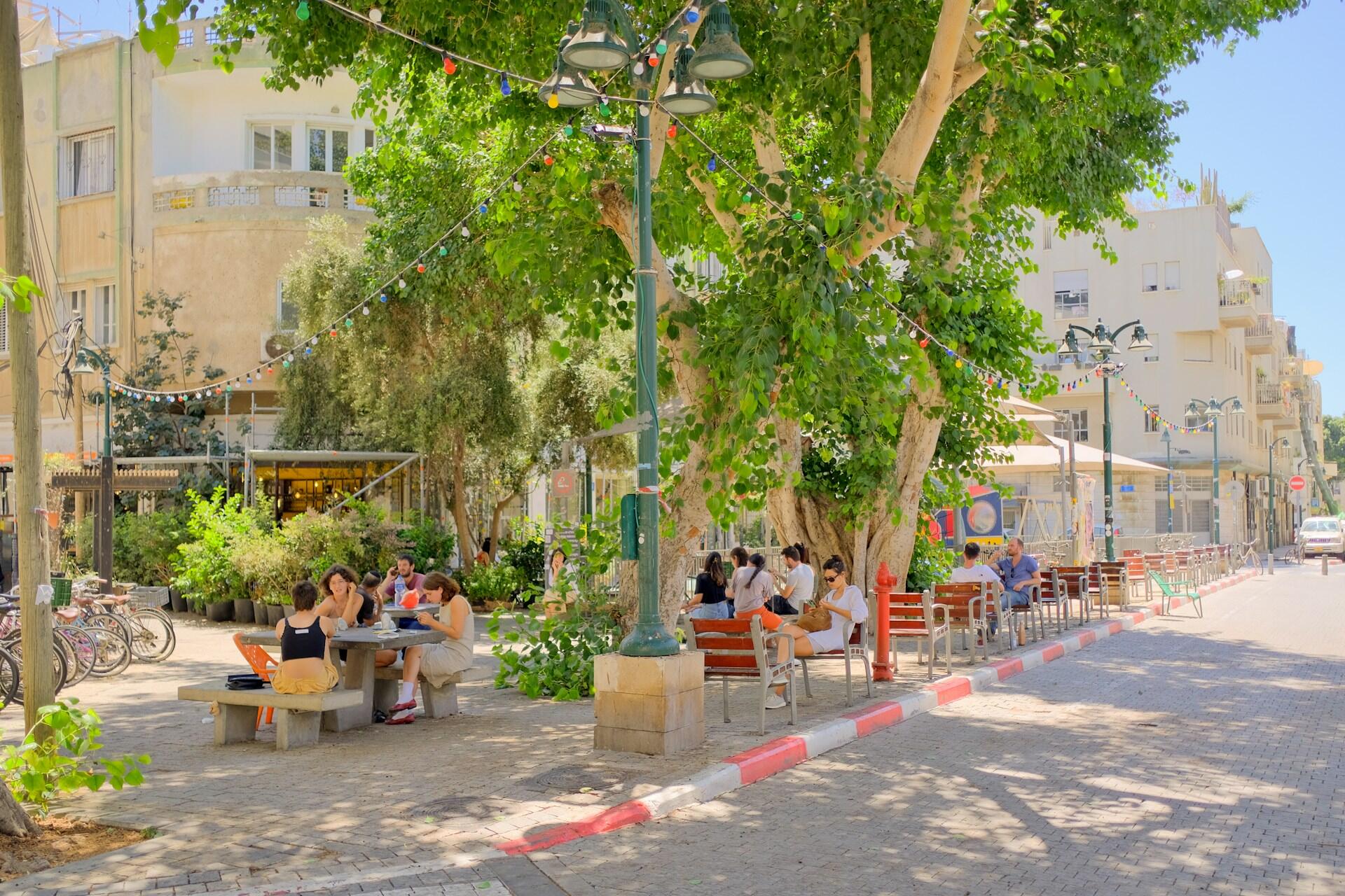 בית קפה חיצוני עם אנשים יושבים ליד שולחנות וספסלים מתחת לעצים גדולים ואורות דולקים ביום שמש