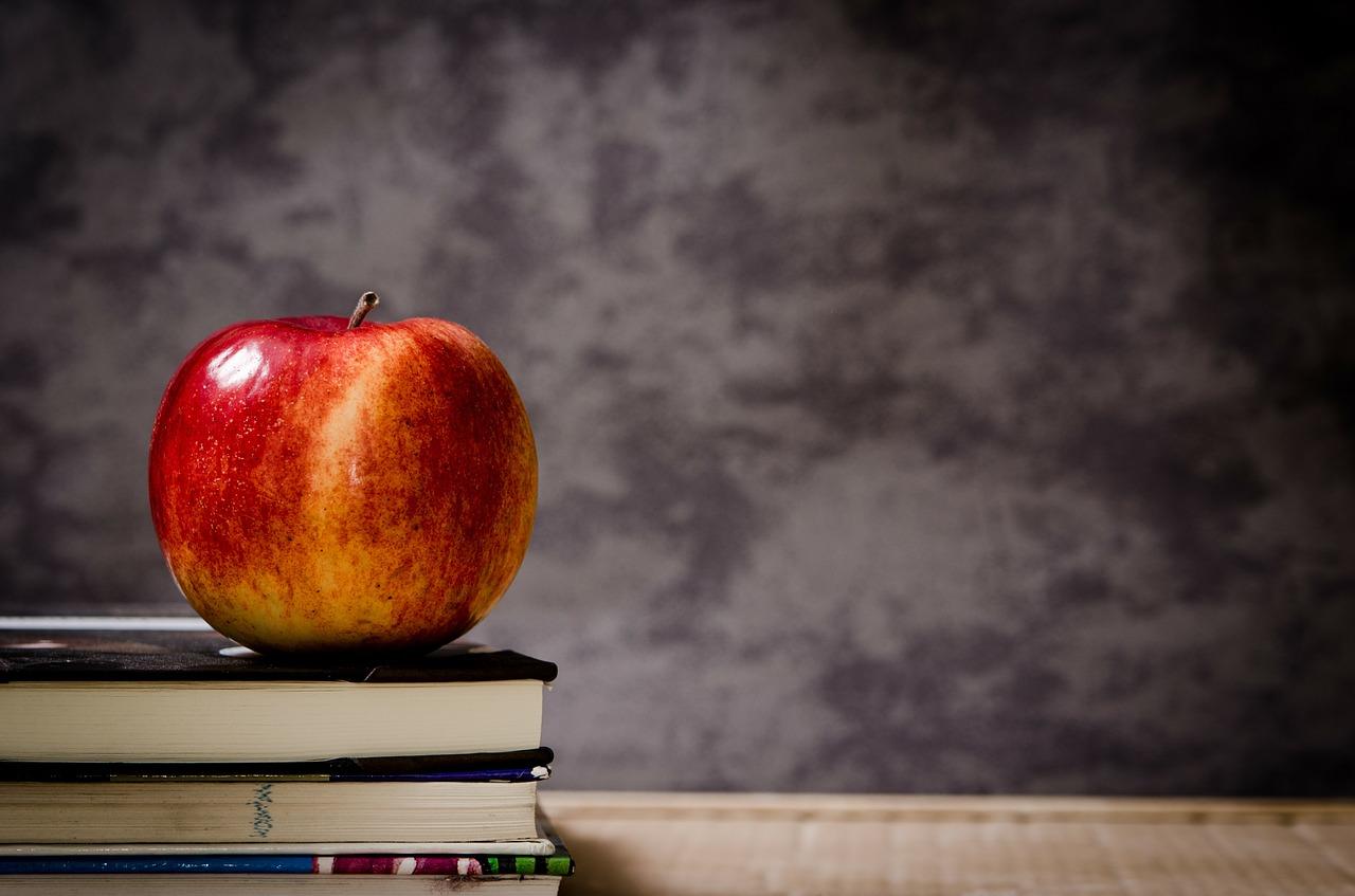 Anyone can become a tutor- it's all about your level of experience in a subject