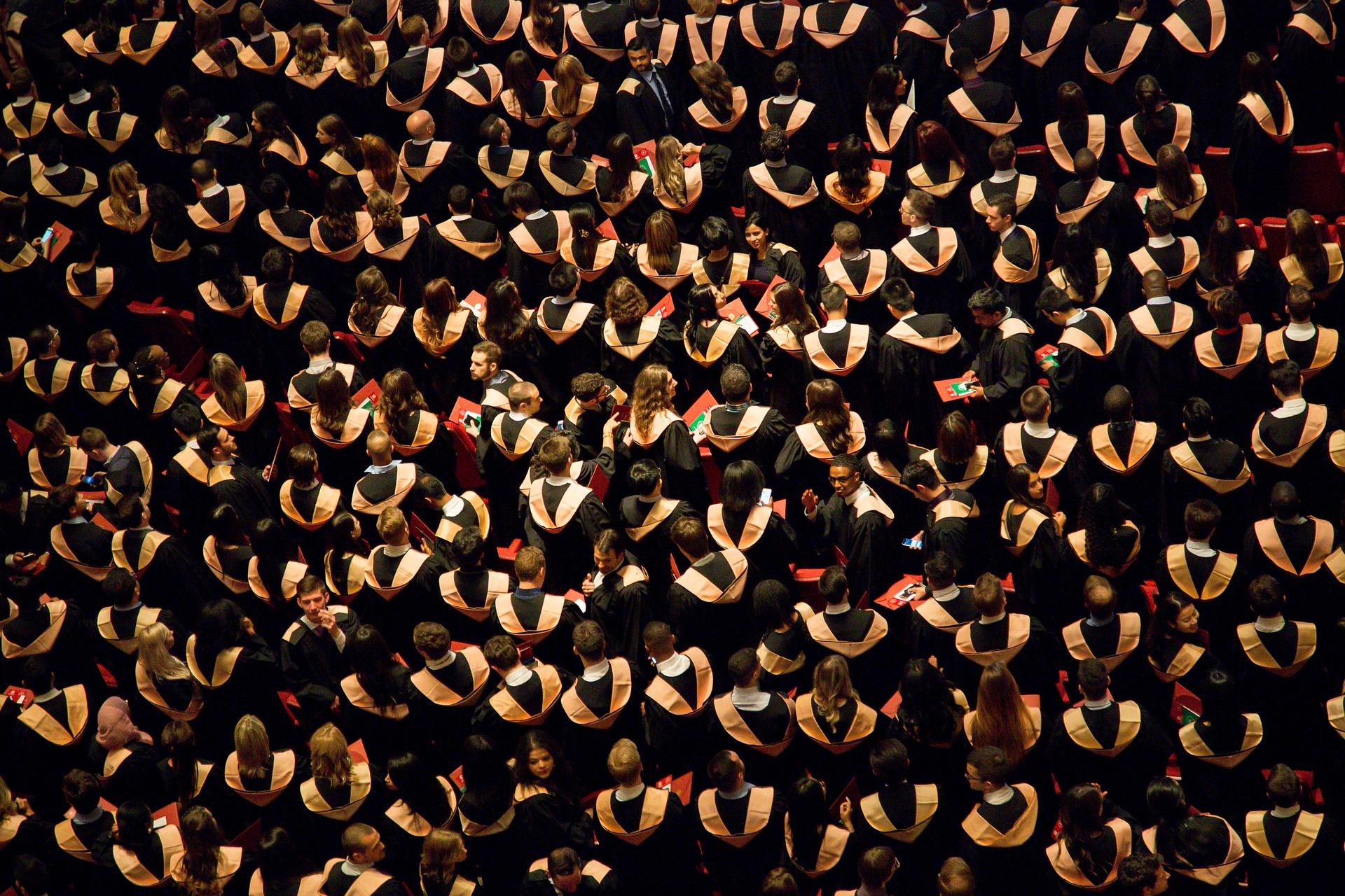 How does a university degree affect your rates for private tuition?