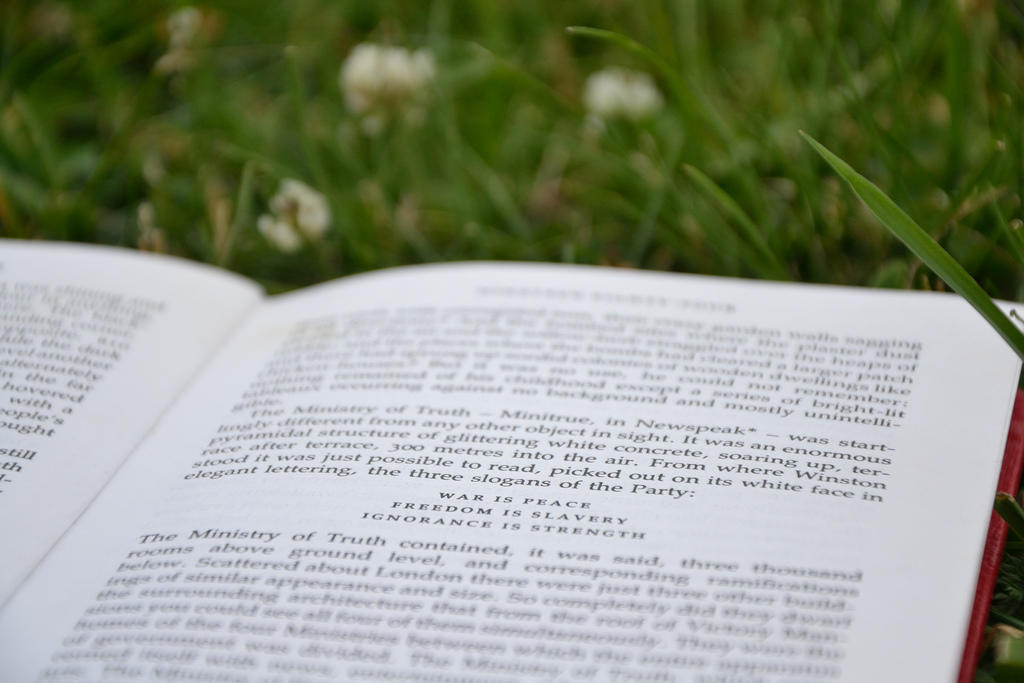 How much are private tutorials during the summer?