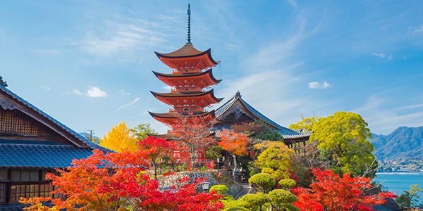 How to understand Japanese culture?