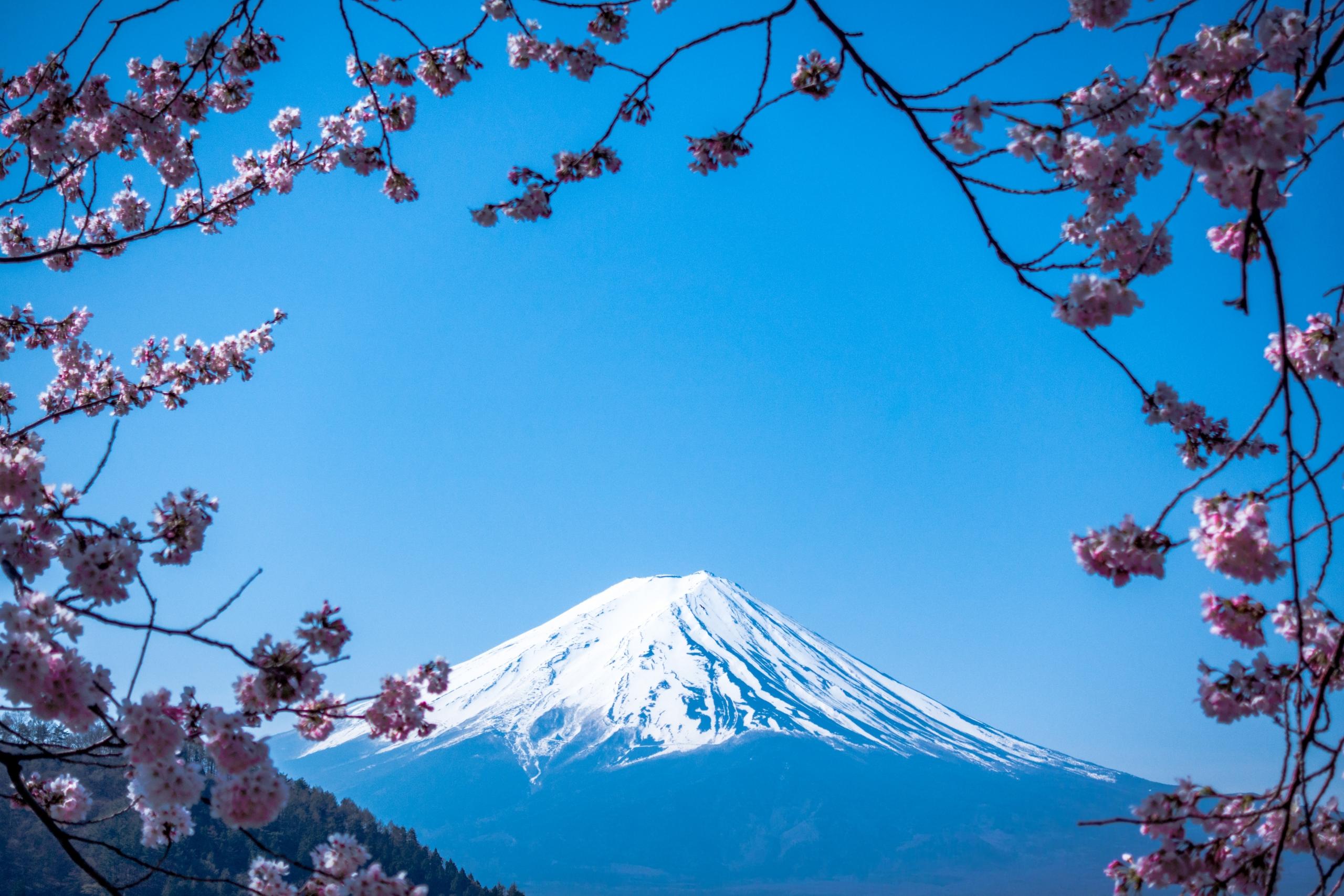 Japanese test