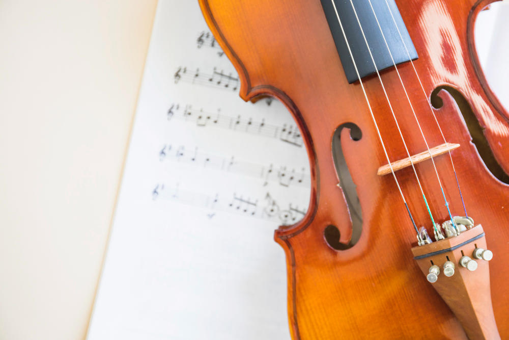How To Play The Violin 