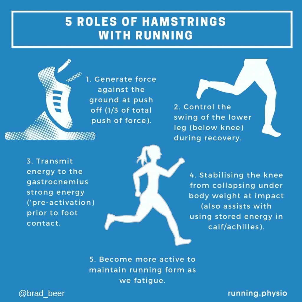 Find the best exercise for hamstring muscles