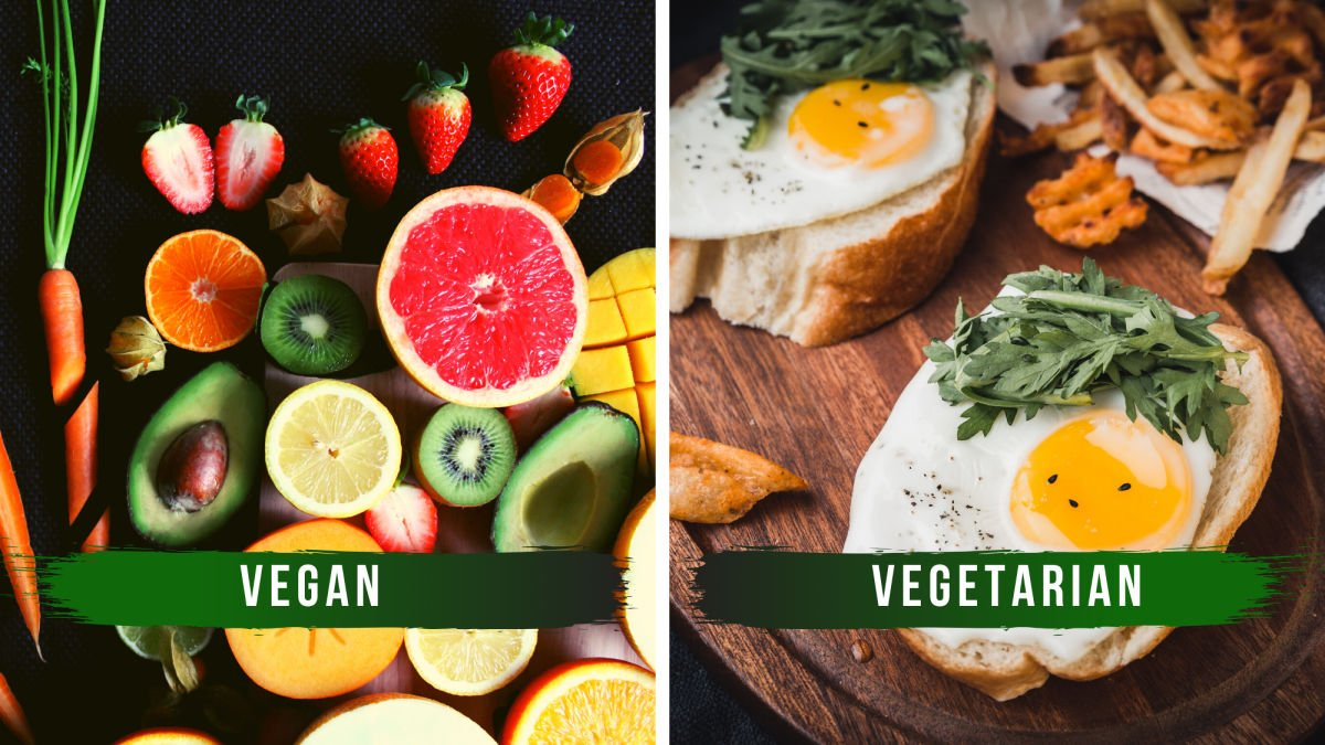 Vegan and vegetarian