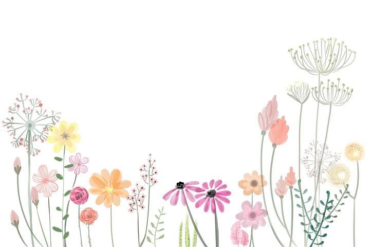 Find drawing classes near you