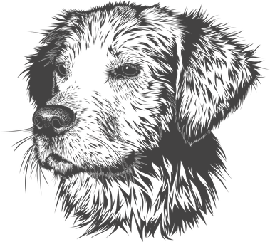 Find private tutors for graphic designing