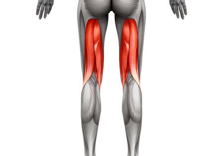 Find fitness trainer near you