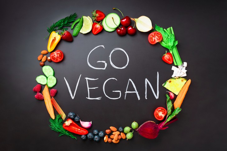 Vegan society in India