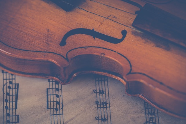 Violin
