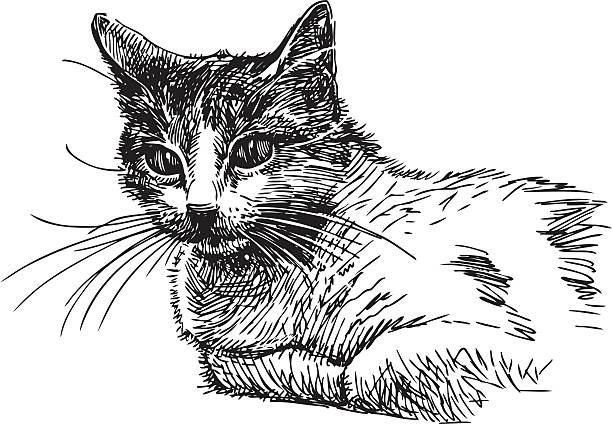 Find drawing classes online