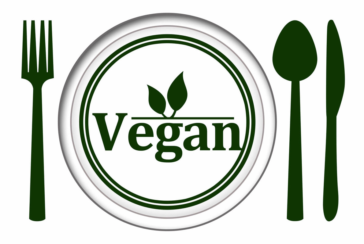 Vegan lifestyle In India 2023