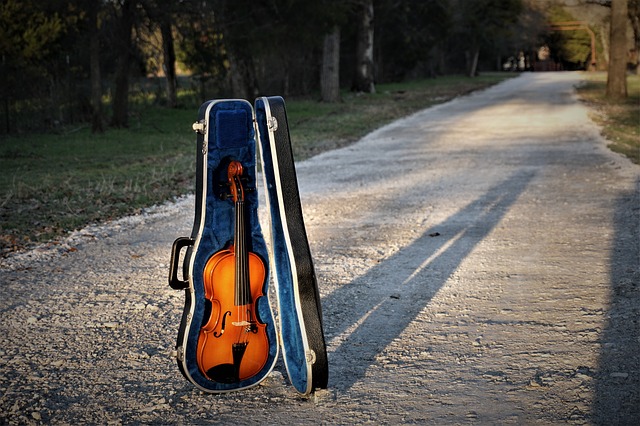 A violin