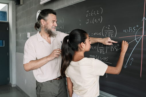 Why become a maths teacher?