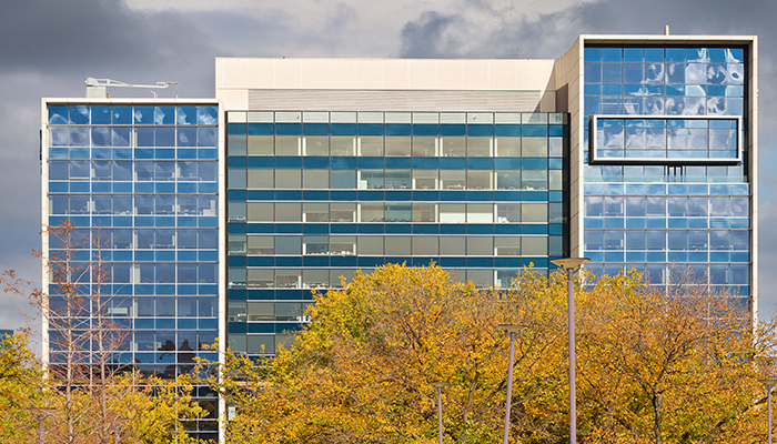 melbourne law school