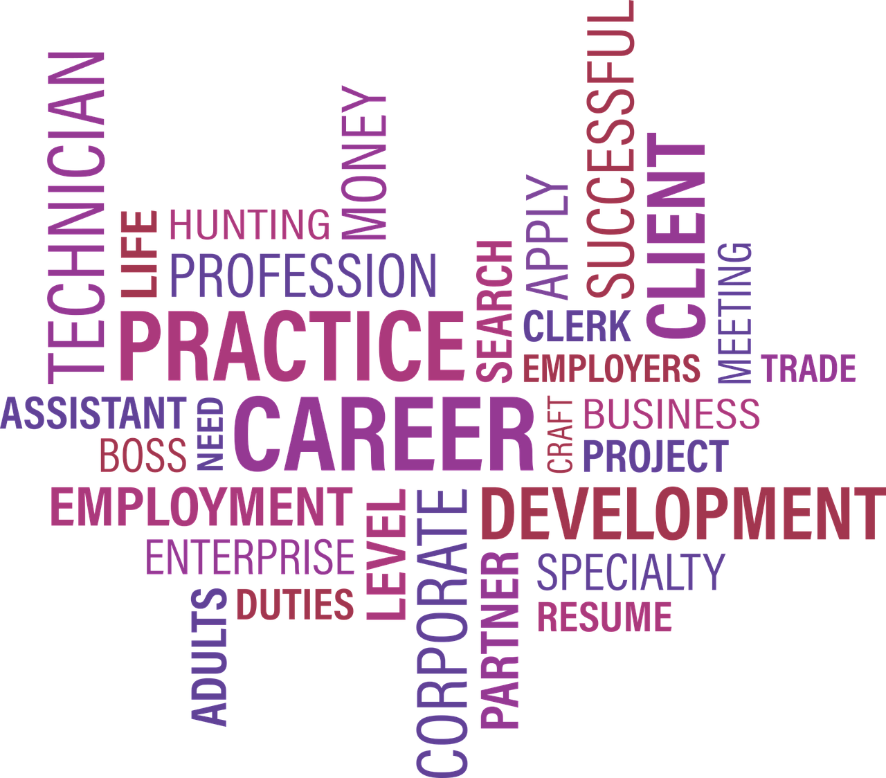 career development