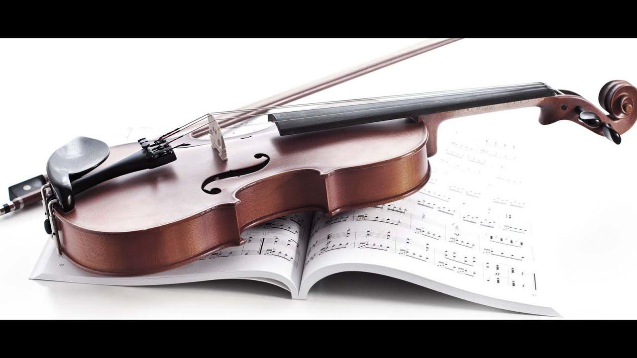 Violin