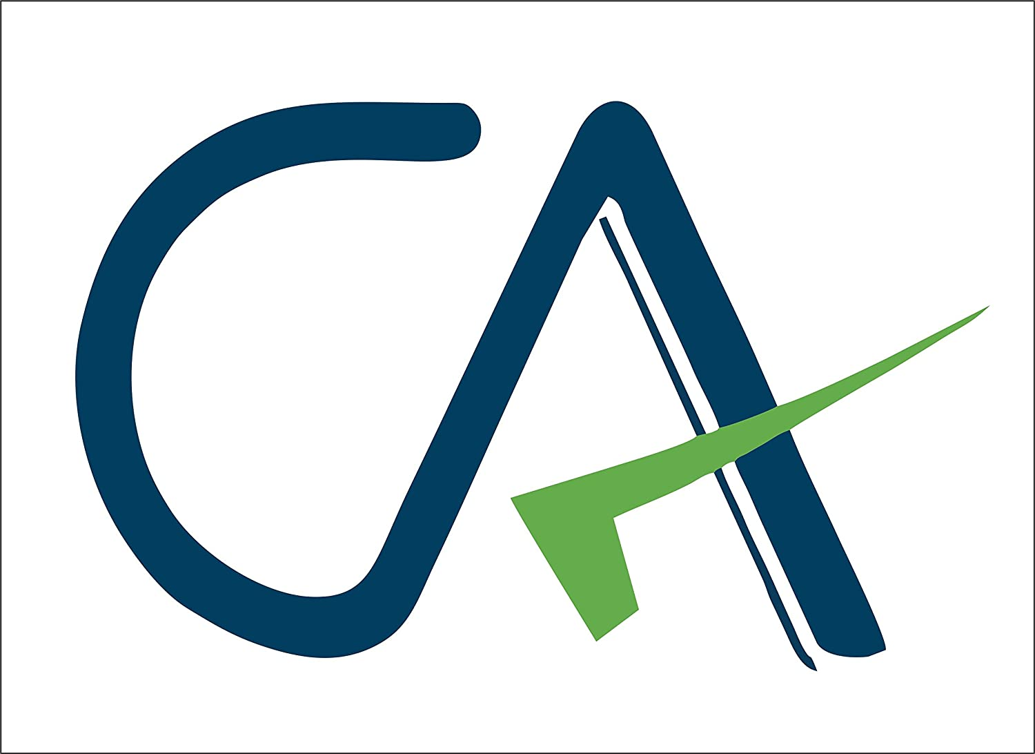 Career path for CA