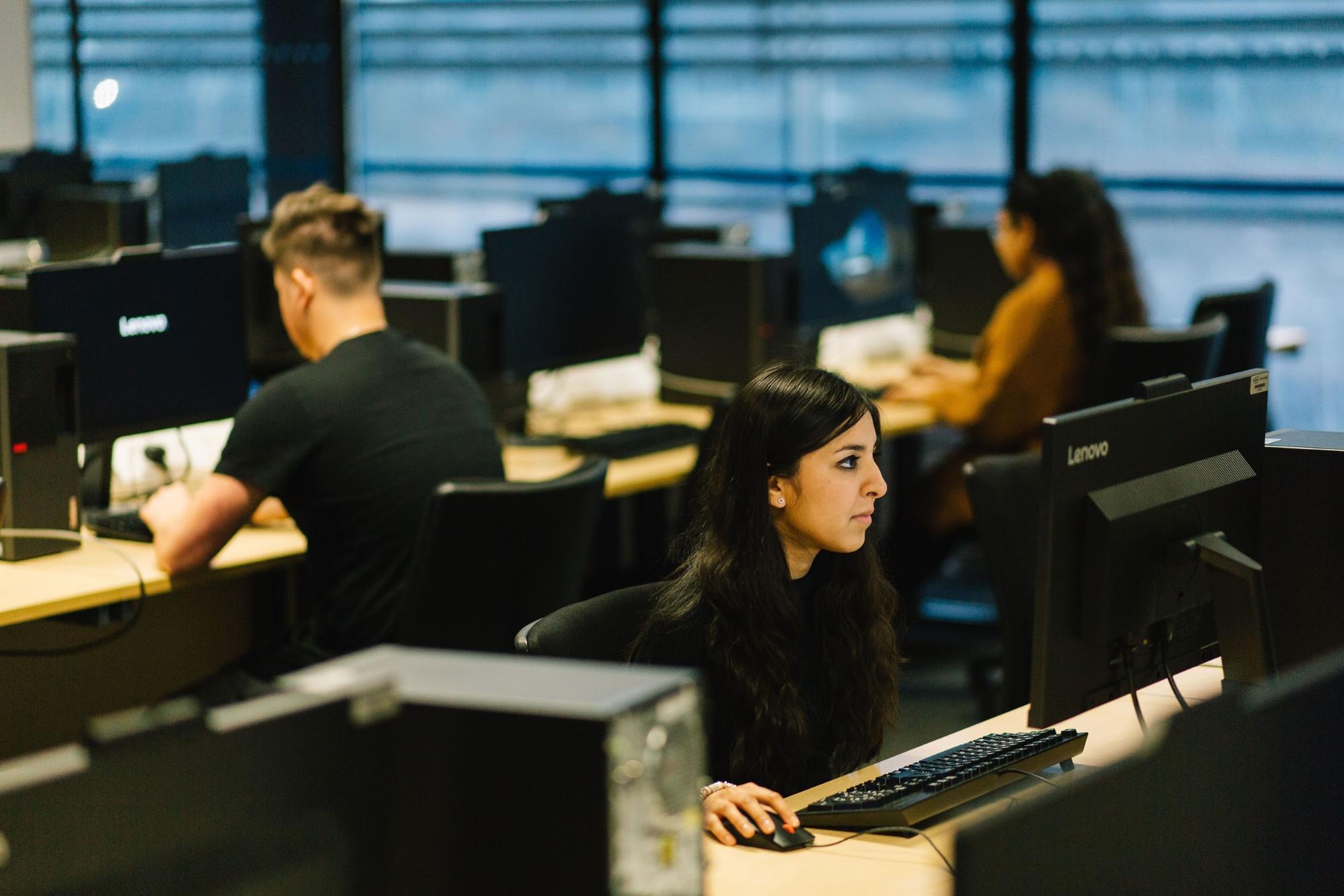 IT employees