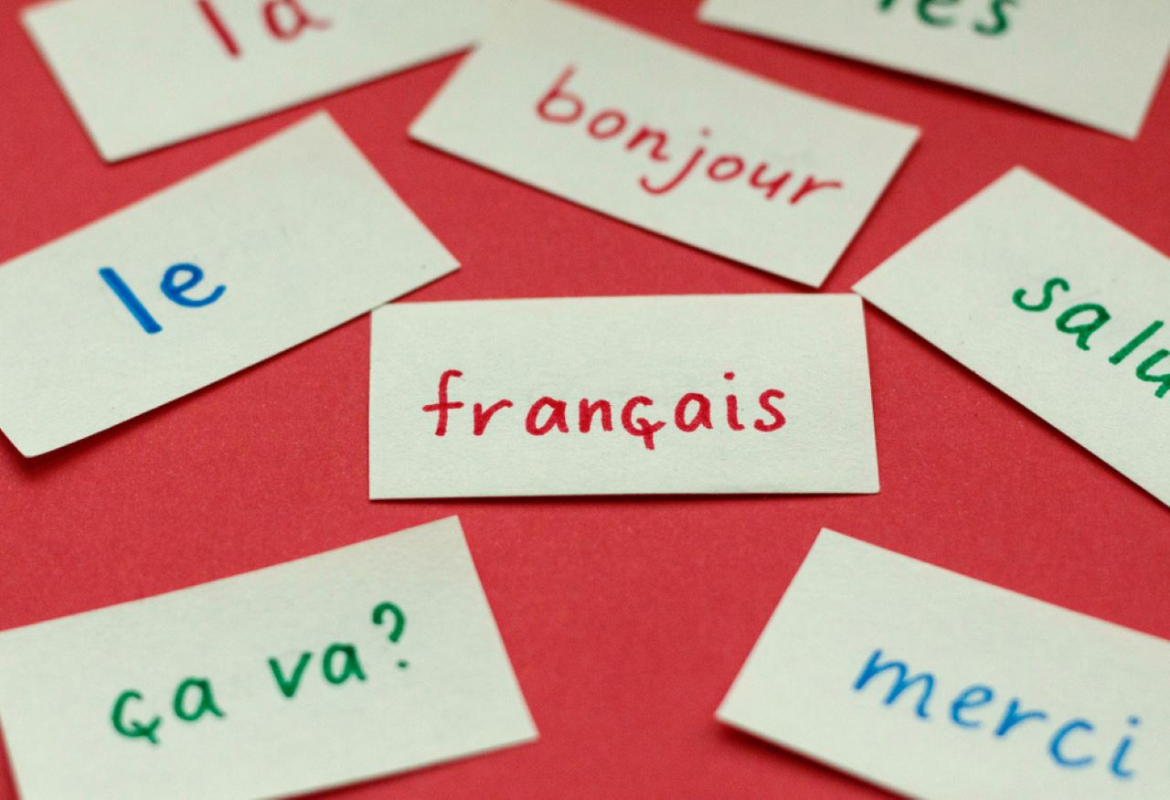 Find private tutors to teach you French language