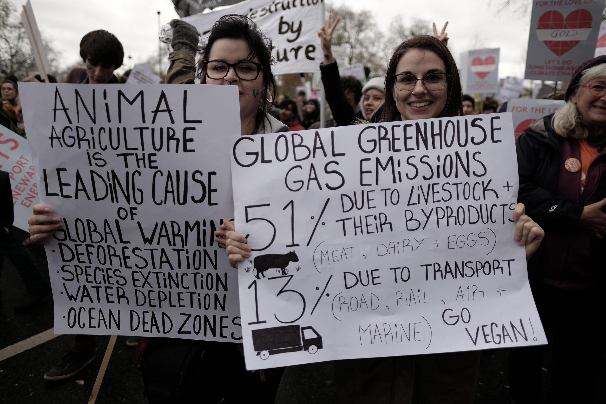 vegan resources