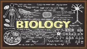 study biology