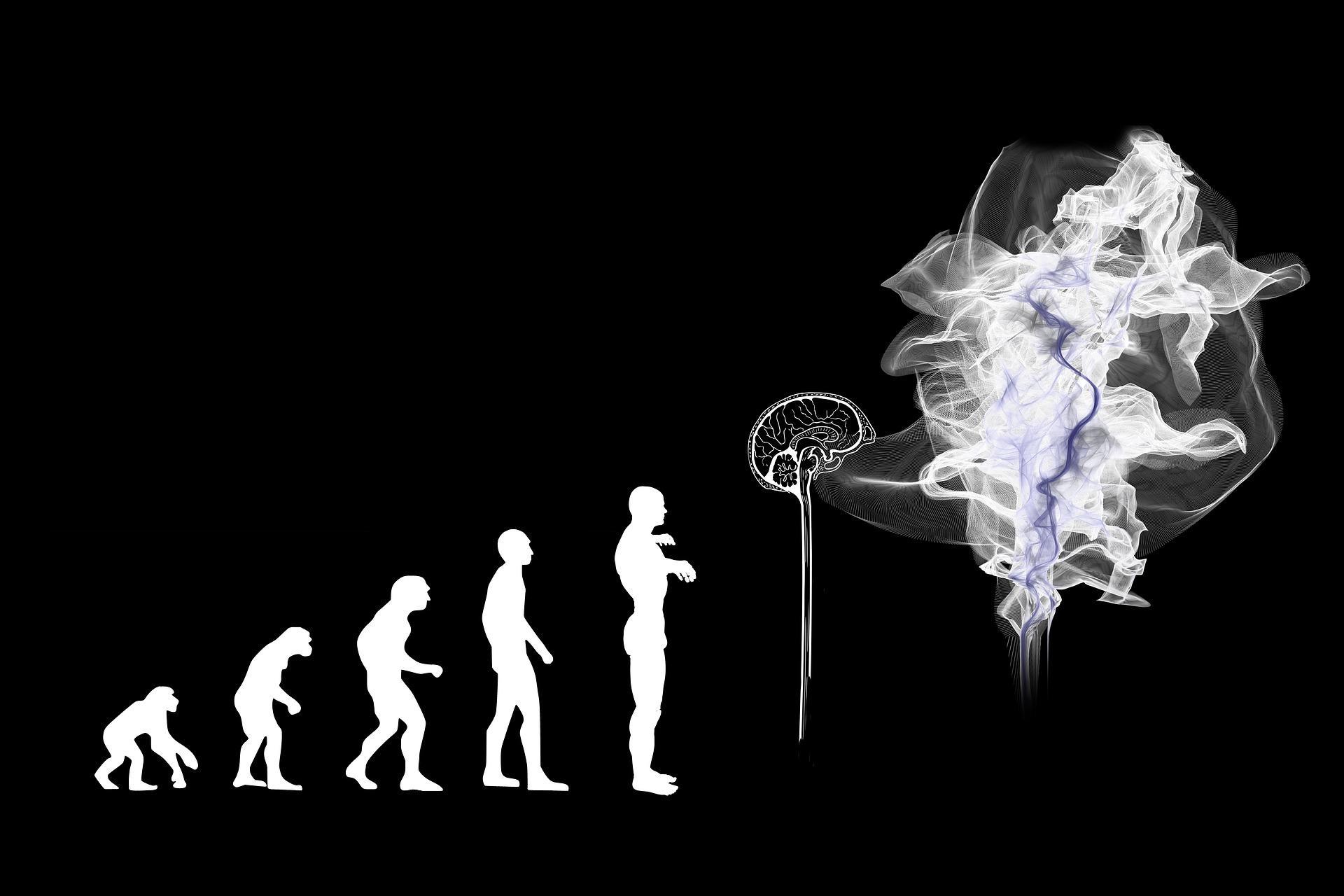 brain spirit