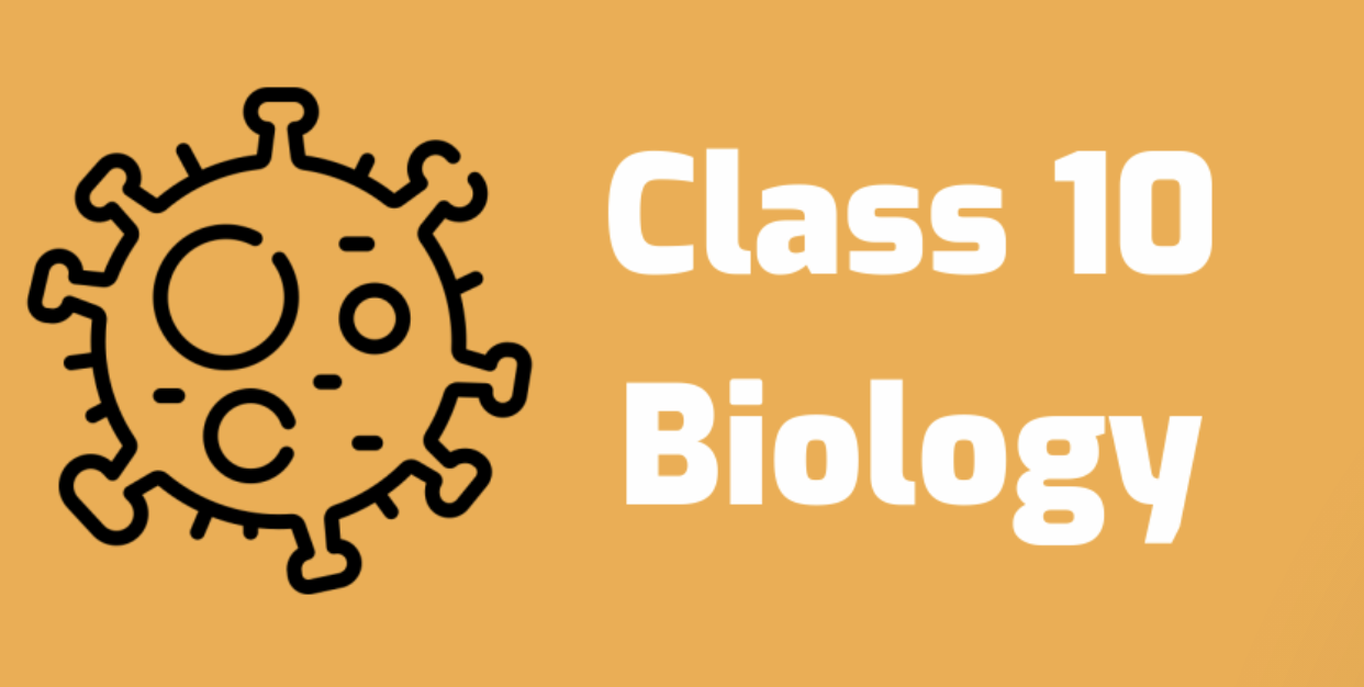 Find biology class 10 tutor online in Pune