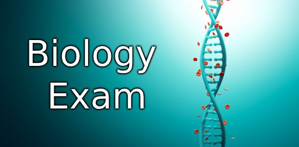 Prepare for medical exam in India