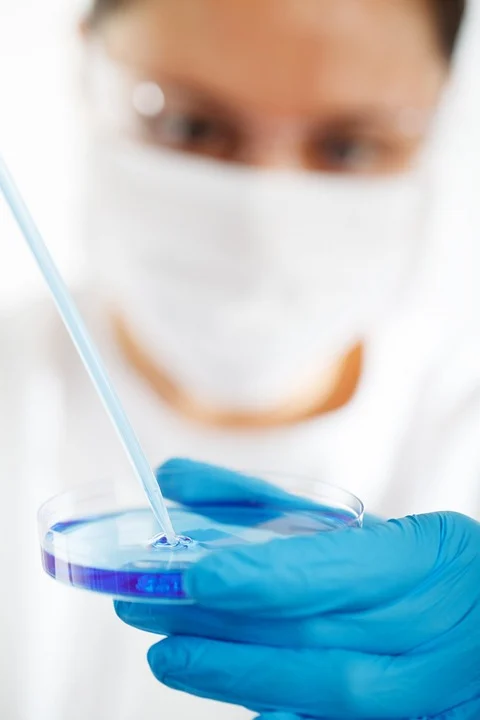 How to score good grade in biology?