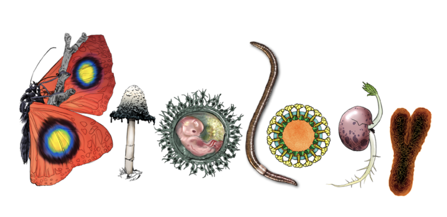 Learn biology online in Nagpur
