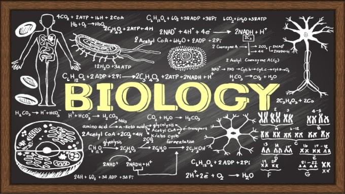 Teach Biology from home
