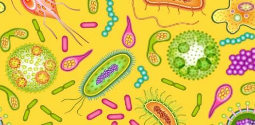 Find biology teacher for private tuition near you.