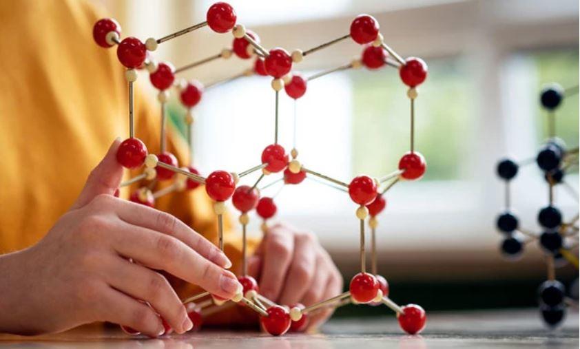 Learn biology online in India.
