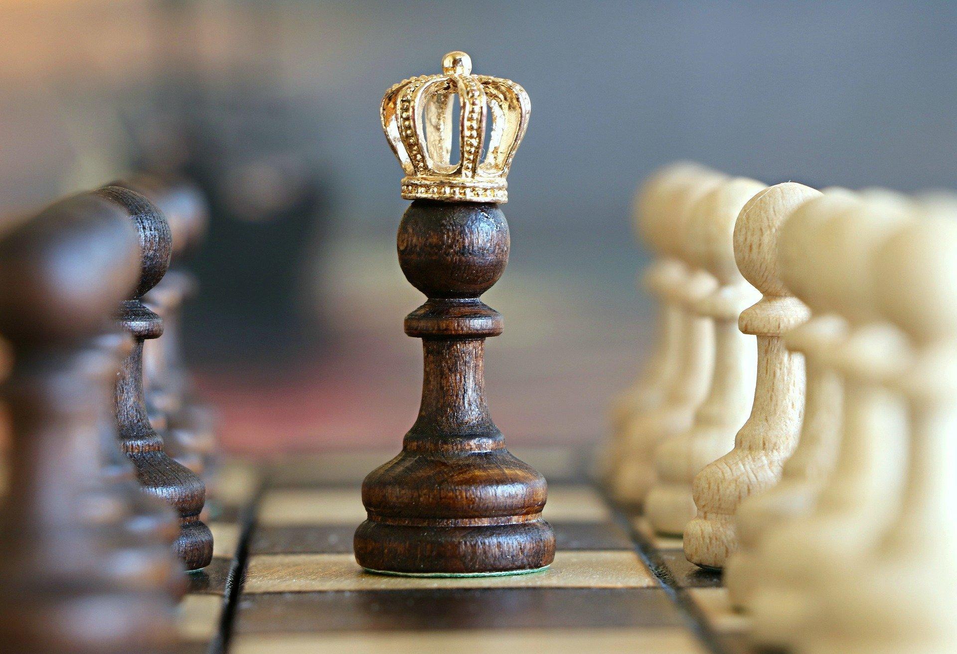 the king in chess