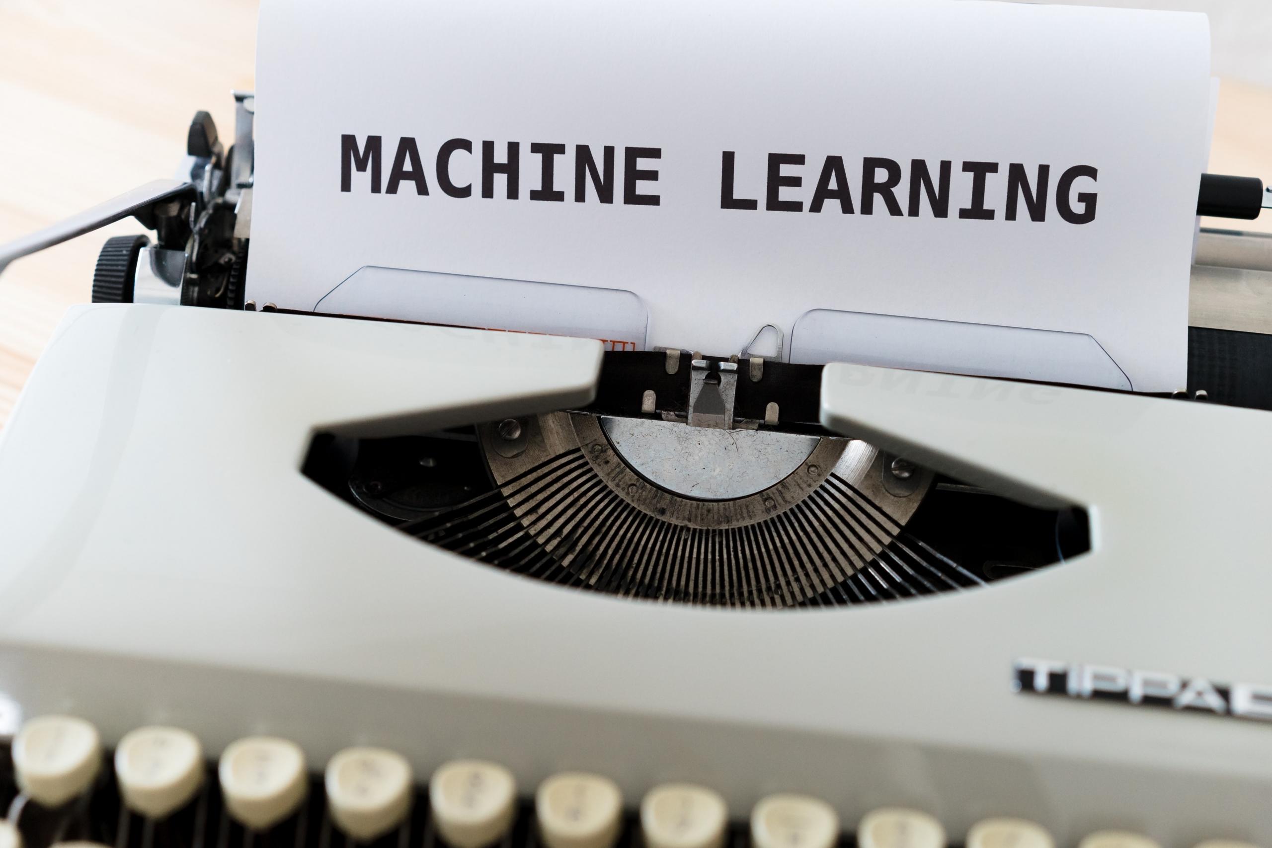 learn python online