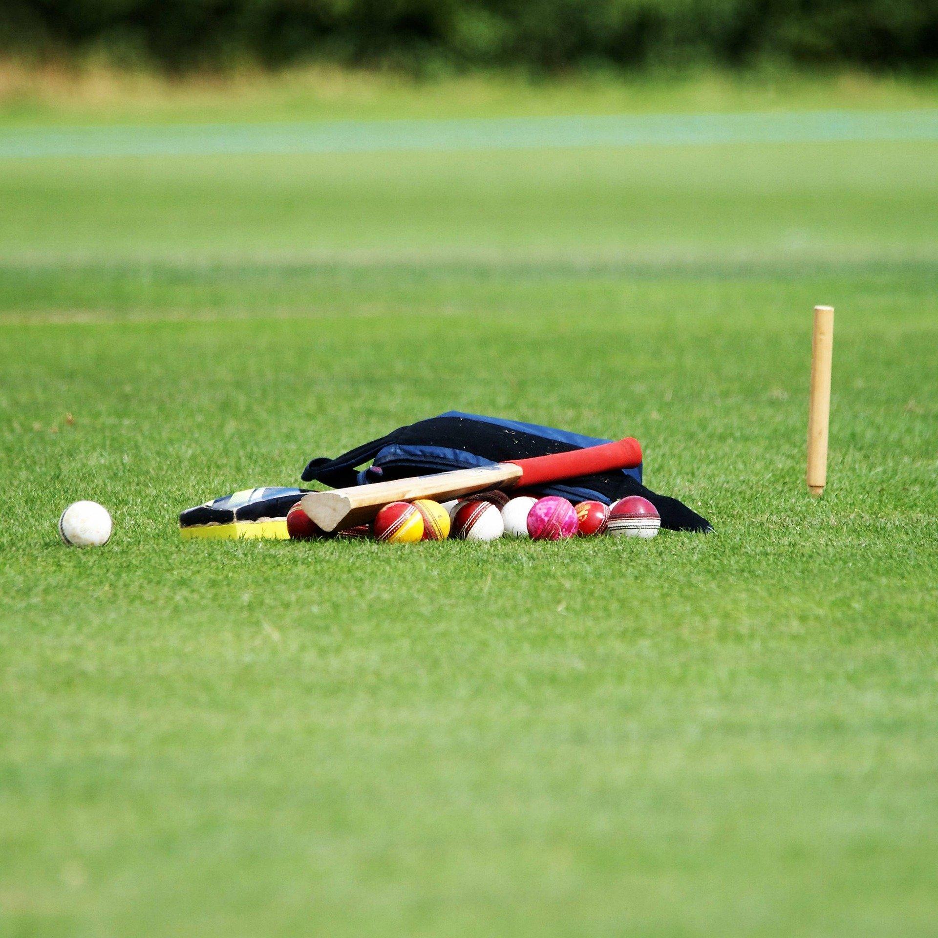 Cricket coaching near me