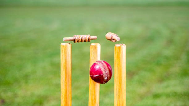 Learn batting with a private coach
