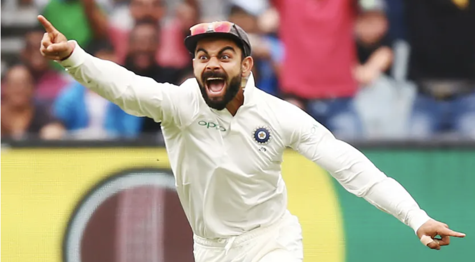 Find cricket mentor for bowling