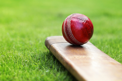Cricket coaching near me