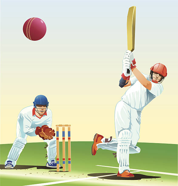 Find the best cricket coaching in India