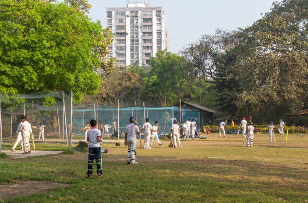 Find cricket academy in your city
