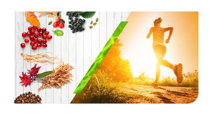 become a sports nutritionist