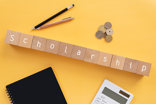 Find St. Xavier's College Scholarship 2022