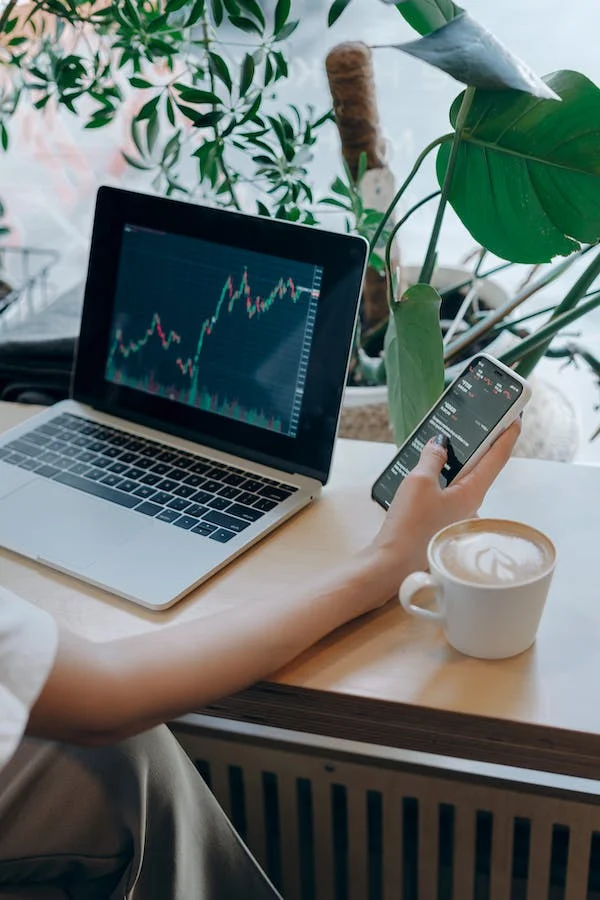 What are careers in Accountancy?