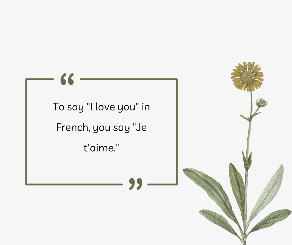 I love you in French