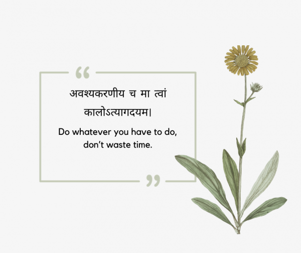 Sanskrit Quotes With English & Hindi Translation [2026]